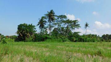 Gambar 4 Tanah 775 M² Dengan View Sawah  Di Cepaka Tabanan 