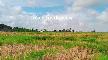 Gambar 5 Tanah 775 M² Dengan View Sawah  Di Cepaka Tabanan 