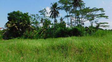 Gambar 1 Tanah 775 M² Dengan View Sawah  Di Cepaka Tabanan 