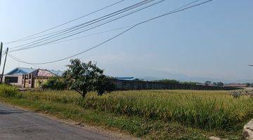 Gambar 2 Tanah Murmer di di Kawasan Industri Majalengka