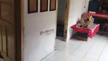 Gambar 5 Rumah Berpagar Samping Jalan di Jombang Kota