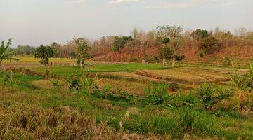 Gambar 1 Tanah di Sumberkembar, Pacet Mojokerto SHM