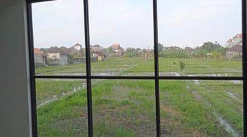 Gambar 3 Modern Minimalist House With Rice Field View, Gatsu Tengah