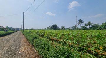 Gambar 5 Dijual Kavling Tanah Murah Siap Bangun Bogor 