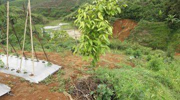 Gambar 2 TANAH SUKABUMI KAVLING KEBUN KOMERSIL USAHA di Kota Sukabumi Tanah