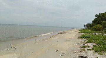 Gambar 2 Tanah loss pantai di pantai nusantara celukan bawang di lepas cepat 