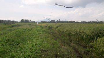 Gambar 3 Tanah investasi di dekat pantai tabanan dengan view sawah dan pantai