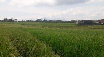 Gambar 1 Tanah investasi di dekat pantai tabanan dengan view sawah dan pantai