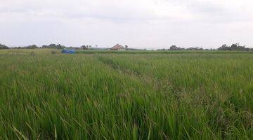 Gambar 4 Tanah investasi di dekat pantai tabanan dengan view sawah dan pantai