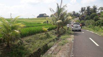 Gambar 5 Tanah investasi di dekat pantai tabanan dengan view sawah dan pantai