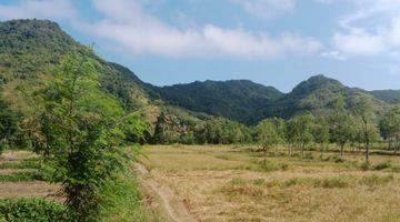 Gambar 5 Tanah Datar Dengan Akses Jalan Kaki Ke Pantai  Lancing  Lancing Lombok Tengah, Sudah Banyak Villa Dan Resort Di Sekitarnya