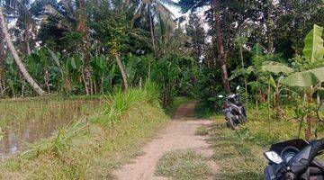 Gambar 2 Land For Lease Ubud Payangan, 20 Minutes From Central Ubud With View Jungle, River And Ricefield