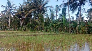 Gambar 3 Land For Lease Ubud Payangan, 20 Minutes From Central Ubud With View Jungle, River And Ricefield