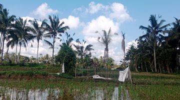 Gambar 4 Land For Lease Ubud Payangan, 20 Minutes From Central Ubud With View Jungle, River And Ricefield