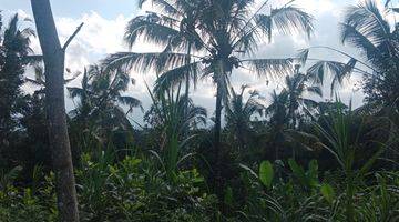 Gambar 5 Land For Lease Ubud Payangan, 20 Minutes From Central Ubud With View Jungle, River And Ricefield