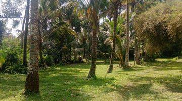 Gambar 1 Land for lease in Payangan 20 minutes from central ubud with view jungle and flat land 