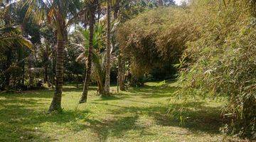 Gambar 2 Land for lease in Payangan 20 minutes from central ubud with view jungle and flat land 