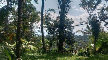 Gambar 3 Land for lease in Payangan 20 minutes from central ubud with view jungle and flat land 