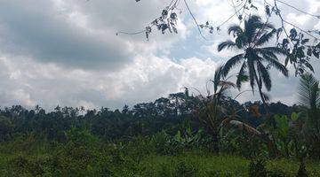 Gambar 4 Land for lease in Payangan 20 minutes from central ubud with view jungle and flat land 