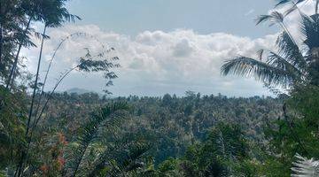 Gambar 5 Land for lease in Payangan 20 minutes from central ubud with view jungle and flat land 