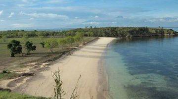 Gambar 3 Tanah Langsung Pantai Di Pantai Pink Jero Waru Lebar Pantai 65 Mtr. Pantai Sangat Bagus