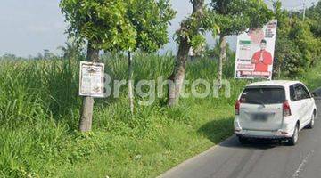 Gambar 2 Tanah di Jalan Rata Tumpuk Wlingi Blitar