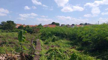 Gambar 2 Jual Tanah Siap Bangun Di Canggu Kayu Tulang