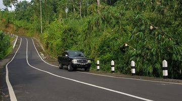 Gambar 5 Dijual Tanah Kosong Siap Garap Desa Kerta Payangan Gianyar Bali