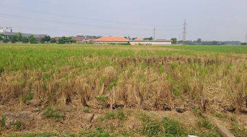 Gambar 2 Dijual sawah di kepuh  karangpawitan Karawang Barat 