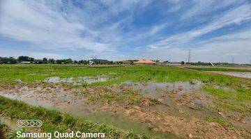 Gambar 5 Dijual sawah di kepuh  karangpawitan Karawang Barat 