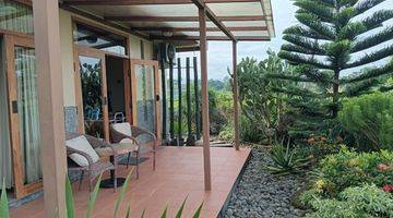 Gambar 1 Rumah Modern Tropical Garden, Fully Furnished Lokasi Di Ganjuran 