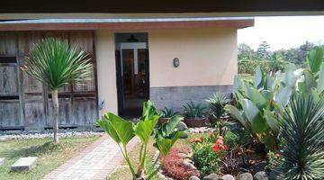 Gambar 2 Rumah Modern Tropical Garden, Fully Furnished Lokasi Di Ganjuran 