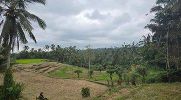 Gambar 1 DIJUAL TANAH VIEW CANTIK MURAH di Penebel Tabanan Bali