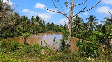 Gambar 1 Tanah kebun murah view sawah di bali