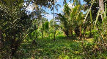 Gambar 3 Tanah kebun murah view sawah di bali