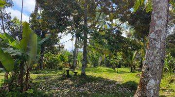 Gambar 4 Tanah kebun murah view sawah di bali