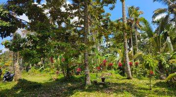 Gambar 5 Tanah kebun murah view sawah di bali