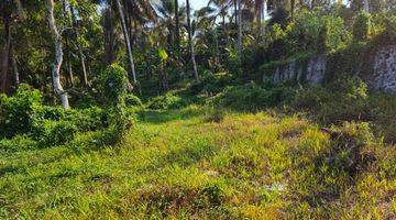 Gambar 1 Tanah murah view jugle dekat villa kus farm bali