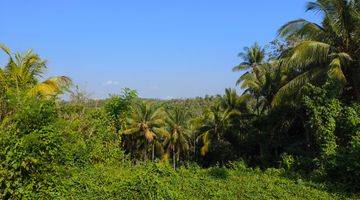 Gambar 2 Tanah murah view jugle dekat villa kus farm bali