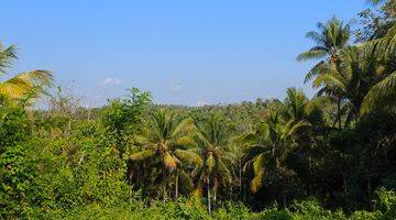 Gambar 3 Tanah murah view jugle dekat villa kus farm bali