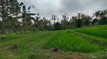 Gambar 2 Tanah kebun dan sawah sona kebun bisa dibangun villa di bali