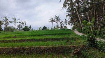 Gambar 4 Tanah kebun dan sawah sona kebun bisa dibangun villa di bali