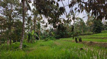 Gambar 5 Tanah kebun dan sawah sona kebun bisa dibangun villa di bali