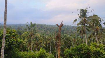 Gambar 5 Tanah  murah view lembah jugle dan gunung di bali