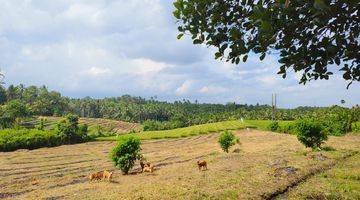 Gambar 1 Tanah murah zona kuning view sawah dan bukit di bali