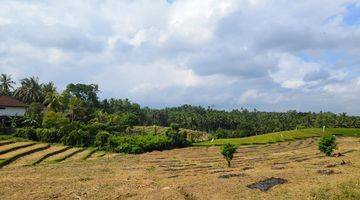 Gambar 2 Tanah murah zona kuning view sawah dan bukit di bali