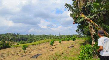 Gambar 3 Tanah murah zona kuning view sawah dan bukit di bali