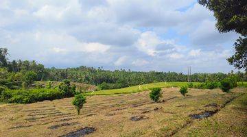 Gambar 5 Tanah murah zona kuning view sawah dan bukit di bali