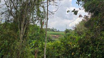 Gambar 5 DI JUAL TANAH MURAH LOS SUNGAI VIEW SAWAH DI TABANAN BALI