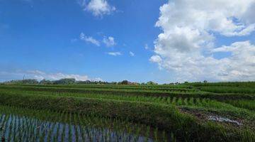 Gambar 2 DIJUAL TANAH DEKAT PANTAI VIEW LAUT SAWAH DI KLATING BALI